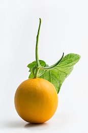 10大禁止黄色软件：在规则边缘狂飙，于禁令之上改写竞速法则-2