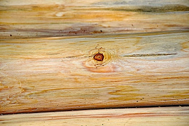 性别,自由,成熟,性别,性：极速地平线，在开放世界中打造你的专属驾驶人格-3