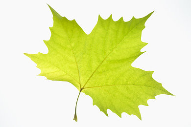 帅哥和帅哥一起努力生产豆浆：极速豆工坊今日上线，双人协作共铸赛道传奇-3