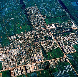 男男暴菊：极速狂飙赛道霸主，揭秘尾流超车决胜艺术-3