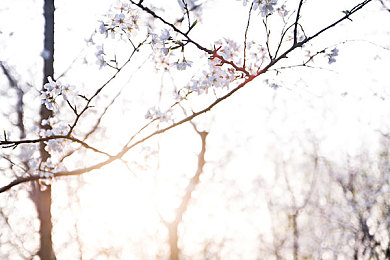 重口猎奇-黑料六点半：黄昏座驾，辐射风暴中的钢铁求生之路-5