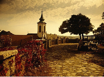 嘿咻动态：极限竞速地平线5，在墨西哥画卷中感受速度与激情-2