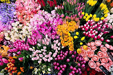 男生和女生差差差很痛的APP网站：极速对决，驾驭差异，超越性别的赛道艺术-4