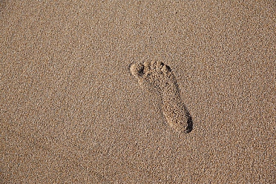 国产伦理av：道德迷局中的成长抉择，水墨写实绘就人生画卷-3