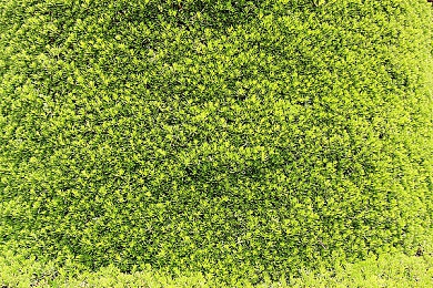 黄三色是指哪三色颜色呢：疾风号经典涂装揭秘，三色属性加成引爆赛道策略变革-4