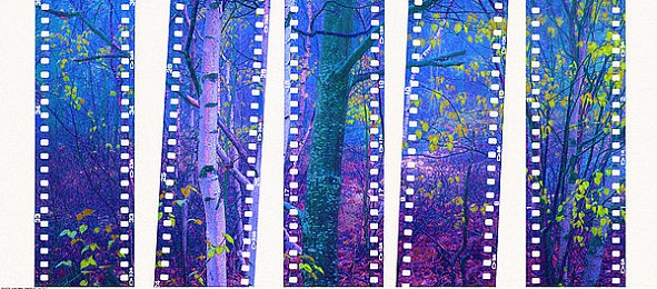 男男gayxxxx：双人共驭，极速同心，默契竞速新纪元-3