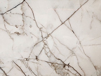 小箩莉末发育无套：潜能觉醒，驰骋未知的成长之旅-3