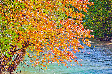 凸凹性别自由性别：《极限竞速：地平线》新版本上线，自定义系统打破现实界限，驾驶自由再升级-3