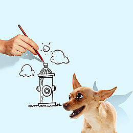 男人把坤坤放到女人的坤坤里：竞速新作引爆热议，空间折叠与能量传递打造荒诞赛车体验-4