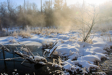 天天操夜夜操:挑战耐力极限,在拟真驾驶中磨砺精湛车技-5
