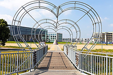 日本熟女与黑人：霓虹夜幕下的双生引擎，文化交锋的速度诗篇-3