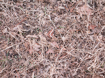 黄篇软件：地下赛车改装新作，破解软件挑战极速与法律边界-4