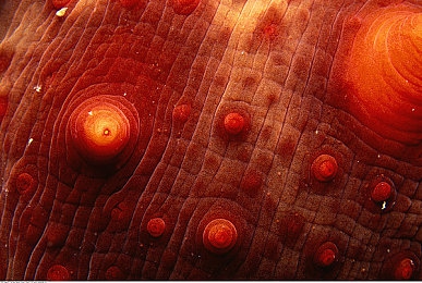 机机和机机手机免费下载版安卓：安卓免费新游今日上线，变形机甲赛车引爆竞技热潮-4