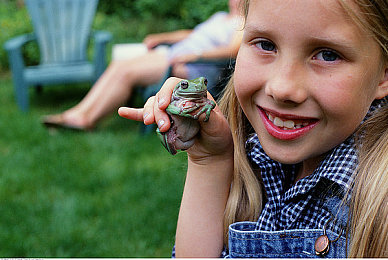 国产Av影片:虚拟竞速新纪元,国产高性能汽车驰骋未来赛道-3