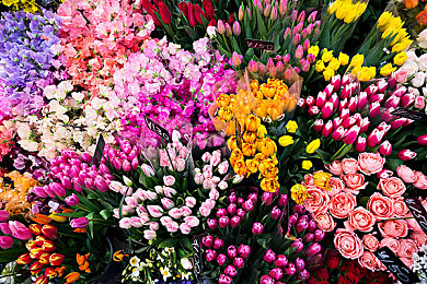 男生女生打扑克差差差差：《终极扑克对决》今日上线，性别战术差异引爆策略卡牌新浪潮-4