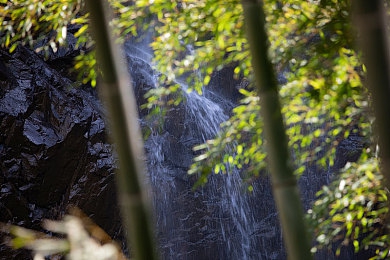 liolianapp污：疾驰于数据废土的环保骑士传说-3