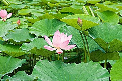 软件免费下载3.0.3破解版大全安装：极速狂飙无限赛道深度解析，三大秘诀助你称霸雨天纽北-4