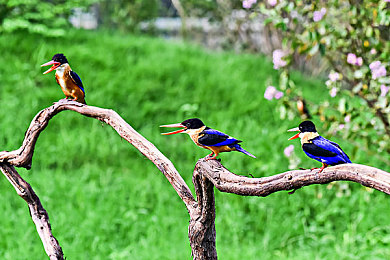 一起差差软件：虚拟赛车工程学院的调校艺术-5