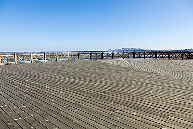 男人和女人上床视频软件：未来都市竞速新作上线，双人协同驾驶引爆赛博赛道-5