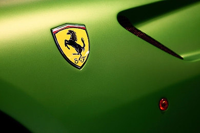 狼干综合:狂野驾驶与荒野求生,极限竞速融合生存冒险新纪元-4