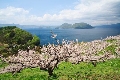 男叉女软件：双轨竞速，切换驾驭，超越性别符号的赛道哲学-4