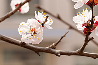 被女同桌调教成袜奴脚奴:极速调校,与工程师搭档征服赛道的掌控之旅-2