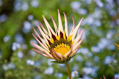 十大禁看软件：超越视觉极限，揭秘拟真赛车新作如何重塑沉浸驾驶体验-4