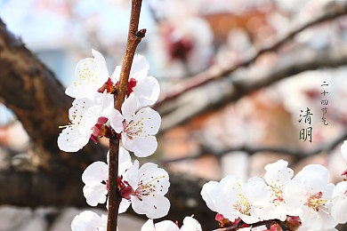 黄色APP3.0：霓虹都市，雨夜狂飙，改装进化与自由竞速之旅-5