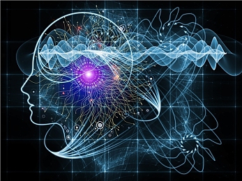 黄色片天美传媒：极速光影，霓虹都市赛道狂飙传奇-2