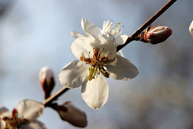 男女一起差差差App:双人竞速新作极速搭档上线,独创同步率系统重塑合作驾驶体验-5