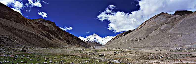 女人与公猪性交做爱全：钢铁驯服者，末日荒野的全地形共生征程-5