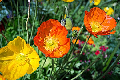 男生女生在一起搓搓:双人同心,其车断金,极速搭档的默契驾驶之旅-5