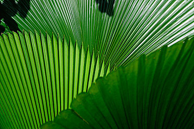 51cg41.me张津瑜在线:神秘车手直播刷新纪录,街头竞速霓虹引爆漂移技术热议-5