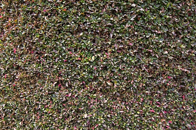 成人 国产：硬核驾驶邂逅废土生存，你的抉择塑造最后防线-5