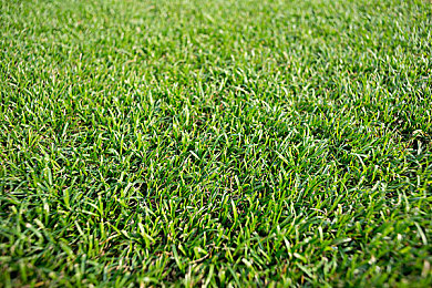 中国毛茸茸亚洲人：《稻香村物语》中秋版本预告，月兔族携全新庆典玩法即将上线-5