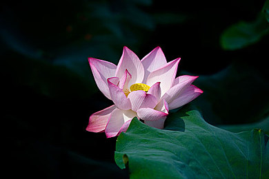 福建导航app官方入口：极速狂飙闽地赛道，动态导航引爆竞速信息战