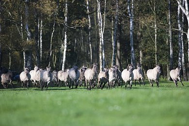 污黄app:末日竞速新作颠覆视觉,驾驶净化废土重绘世界色彩-5