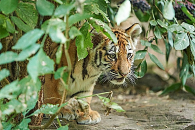 17c黑料：暗影疾驰，未来赛道上的科技失衡之争-3