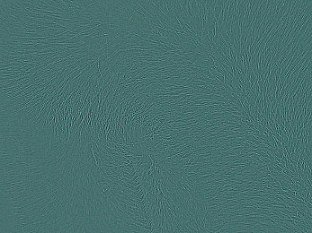 京东影业JD0047我的老师是谁：极速狂飙中破解谜题，寻找隐藏导师的终极竞速挑战-4