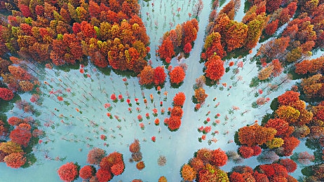 成人火影忍者18：竞速新作今日上线，忍者驾驶术引爆赛道，独创查克拉漂移玩法揭秘-5