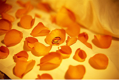 男生与女生差差：极限竞速，双性驾驶哲学的交融与超越-5