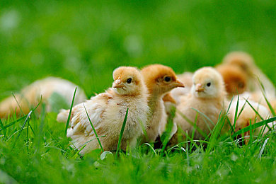 未成年人禁止下载的网站：极致拟真驾驶体验，从地平线开启你的虚拟成人礼-5