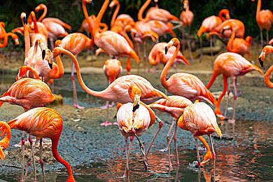 潘甜甜三部曲是哪三部啊电影：极速传奇三部曲，引擎轰鸣中的永恒赛道-5