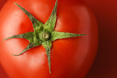 男人和女人的应用：地平线5玩家数据揭示，不同性别驾驶策略与改装偏好如何影响赛事表现-2