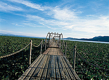 黄色录像404：经典街机精神复苏，现代赛车游戏重寻自由驾驶本源-4