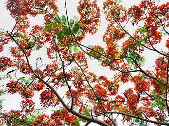 帅小伙浴室自慰chese：蒸汽朋克机械之心隐藏彩蛋，浴室镜子暗藏古老机械蓝图