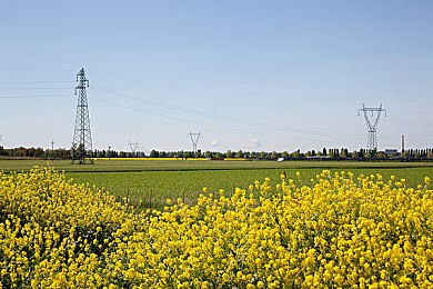 情侣拔萝卜：双人协作驾驶新游农场拉力赛，体验默契合作的收获乐趣-4