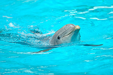 国产成人AV乱：龙城车影，道德歧路中的速度传说-5