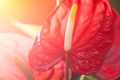 男生女生一起差差：双人竞速新体验，差异协同共闯赛道的竞速搭档-2