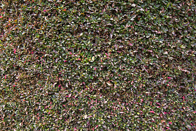 如何下载色情软件:极速狂飙地下车神,从街头新手到传奇车王的终极改装指南-5